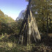 Used the old deck boards to make a teepee in the pasture