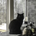 My cats like it