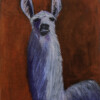 Blue Llama
acrylic on canvas
25 x 32